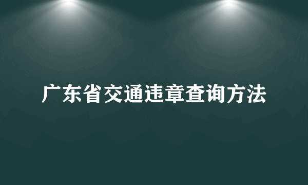 广东省交通违章查询方法