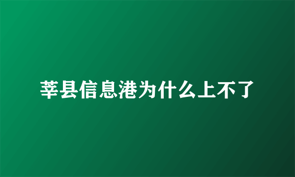 莘县信息港为什么上不了