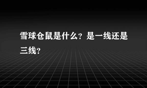 雪球仓鼠是什么？是一线还是三线？