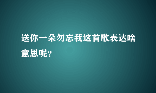 送你一朵勿忘我这首歌表达啥意思呢？