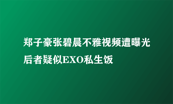 郑子豪张碧晨不雅视频遭曝光后者疑似EXO私生饭