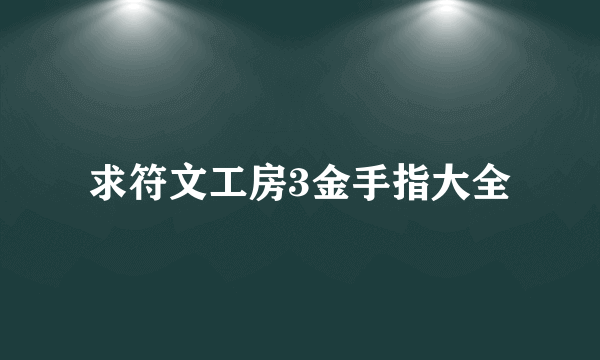 求符文工房3金手指大全