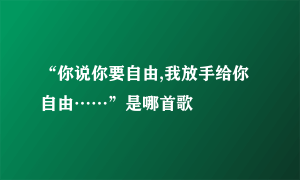 “你说你要自由,我放手给你自由……”是哪首歌