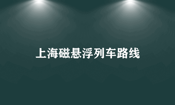 上海磁悬浮列车路线