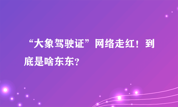 “大象驾驶证”网络走红！到底是啥东东？