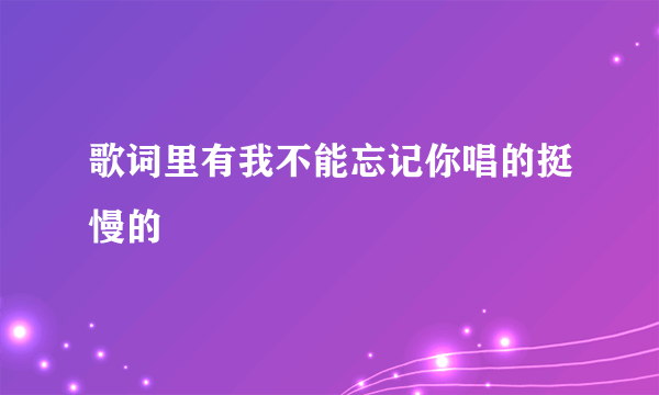 歌词里有我不能忘记你唱的挺慢的