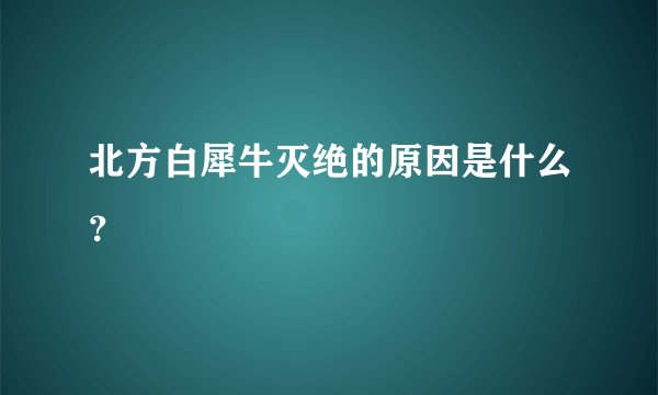 北方白犀牛灭绝的原因是什么？