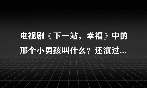 电视剧《下一站，幸福》中的那个小男孩叫什么？还演过什么电视啊？