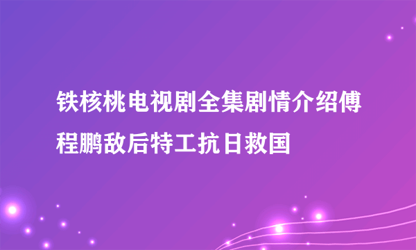 铁核桃电视剧全集剧情介绍傅程鹏敌后特工抗日救国