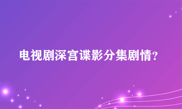 电视剧深宫谍影分集剧情？