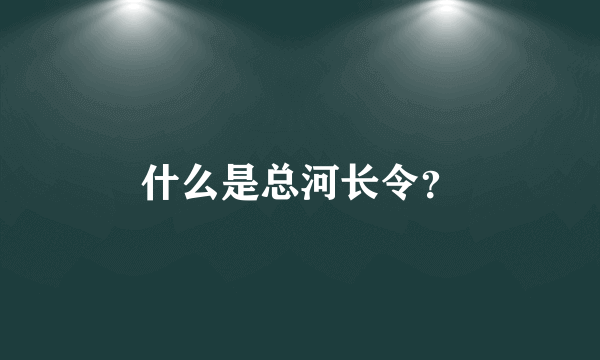 什么是总河长令？