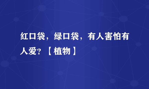 红口袋，绿口袋，有人害怕有人爱？【植物】