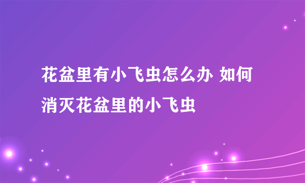 花盆里有小飞虫怎么办 如何消灭花盆里的小飞虫