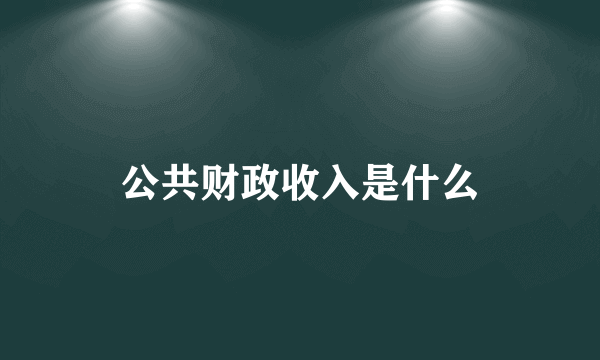 公共财政收入是什么