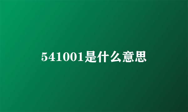 541001是什么意思