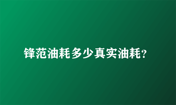 锋范油耗多少真实油耗？