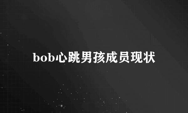 bob心跳男孩成员现状