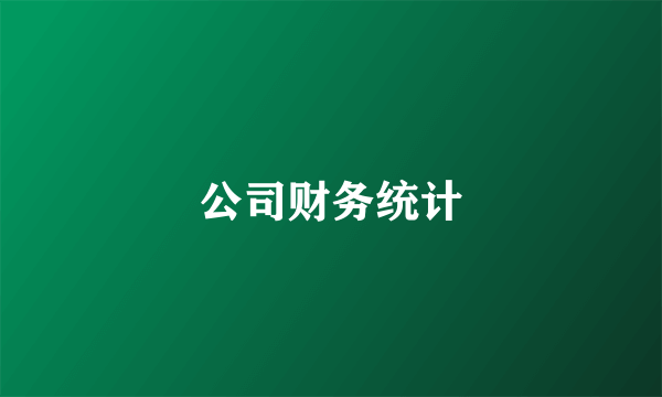 公司财务统计