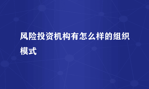 风险投资机构有怎么样的组织模式