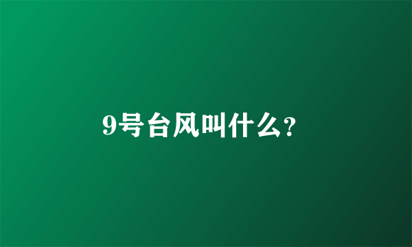 9号台风叫什么？