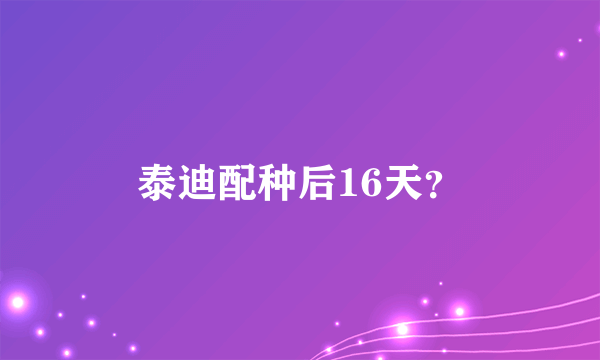 泰迪配种后16天？