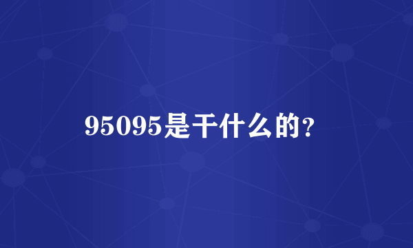 95095是干什么的？