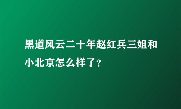 黑道风云二十年赵红兵三姐和小北京怎么样了？