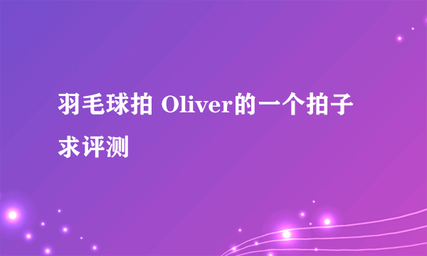 羽毛球拍 Oliver的一个拍子 求评测