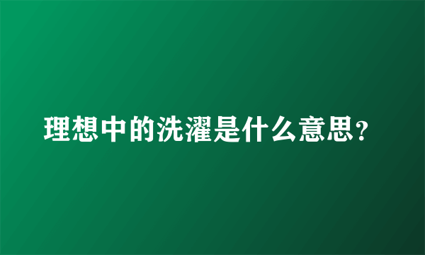 理想中的洗濯是什么意思？