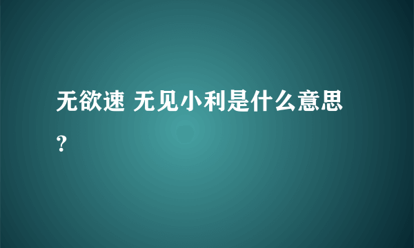 无欲速 无见小利是什么意思？