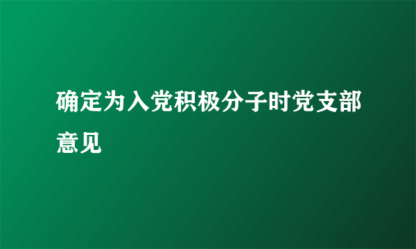 确定为入党积极分子时党支部意见