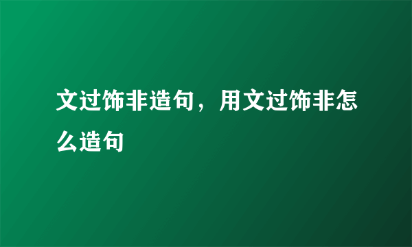 文过饰非造句，用文过饰非怎么造句