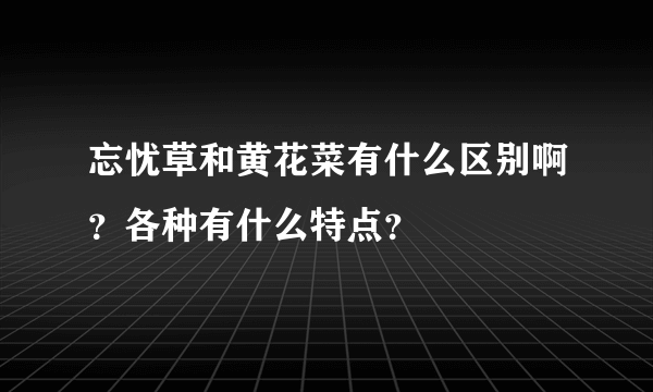 忘忧草和黄花菜有什么区别啊？各种有什么特点？