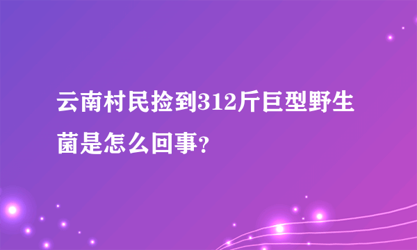 云南村民捡到312斤巨型野生菌是怎么回事？