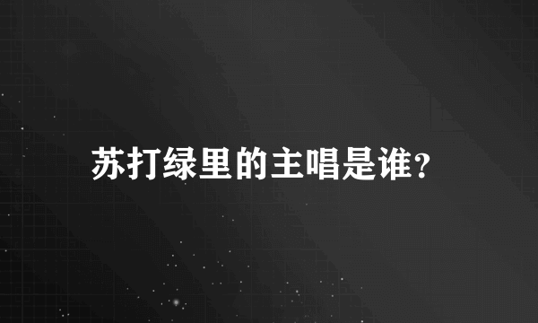 苏打绿里的主唱是谁？