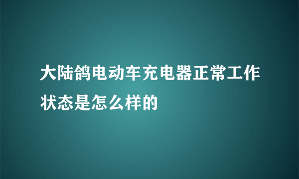 大陆鸽电动车充电器正常工作状态是怎么样的