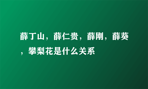 薛丁山，薛仁贵，薛刚，薛葵，攀梨花是什么关系