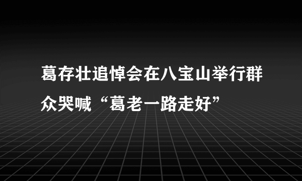 葛存壮追悼会在八宝山举行群众哭喊“葛老一路走好”