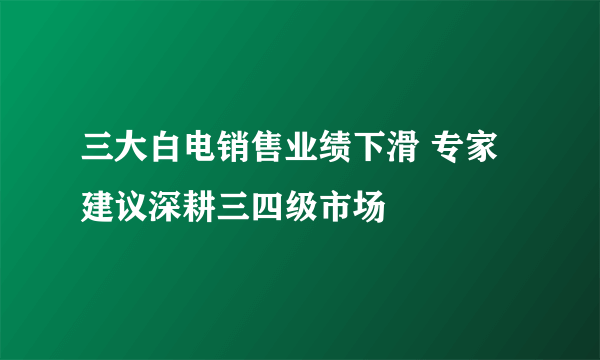 三大白电销售业绩下滑 专家建议深耕三四级市场