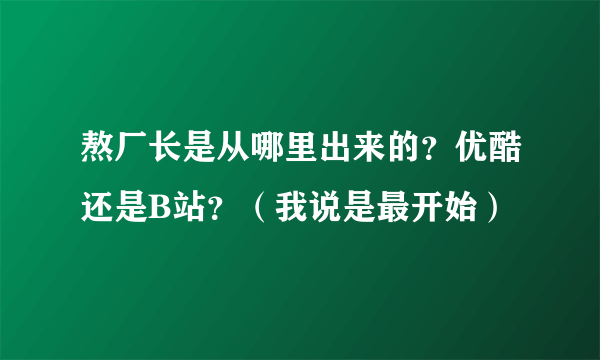 熬厂长是从哪里出来的？优酷还是B站？（我说是最开始）