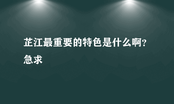 芷江最重要的特色是什么啊？急求