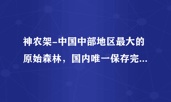 神农架-中国中部地区最大的原始森林，国内唯一保存完好的绿洲