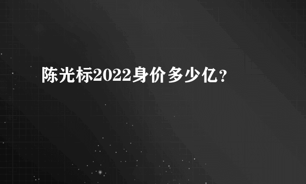 陈光标2022身价多少亿？