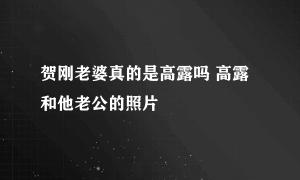 贺刚老婆真的是高露吗 高露和他老公的照片