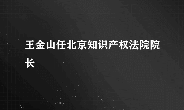 王金山任北京知识产权法院院长