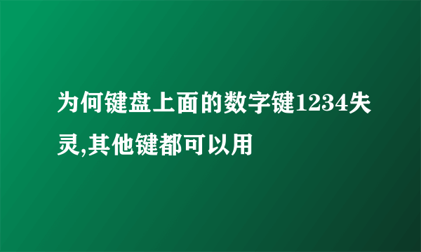 为何键盘上面的数字键1234失灵,其他键都可以用