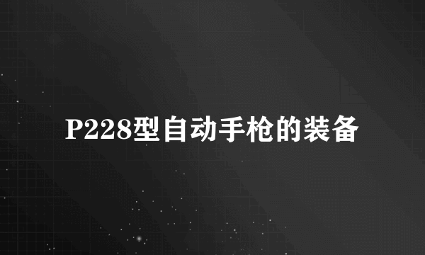 P228型自动手枪的装备