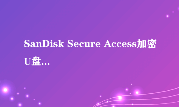 SanDisk Secure Access加密U盘文件竟然可以直接删除！这是怎么回事？