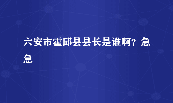 六安市霍邱县县长是谁啊？急急