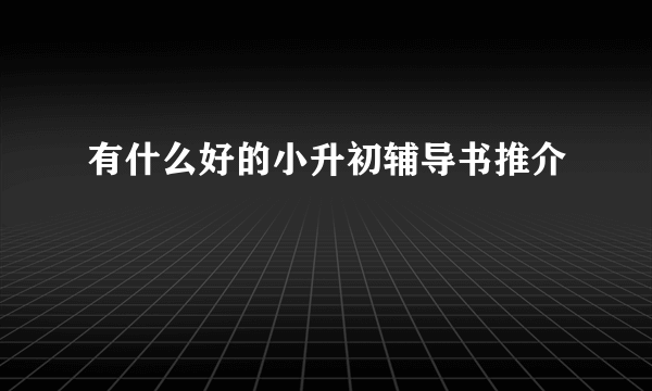 有什么好的小升初辅导书推介